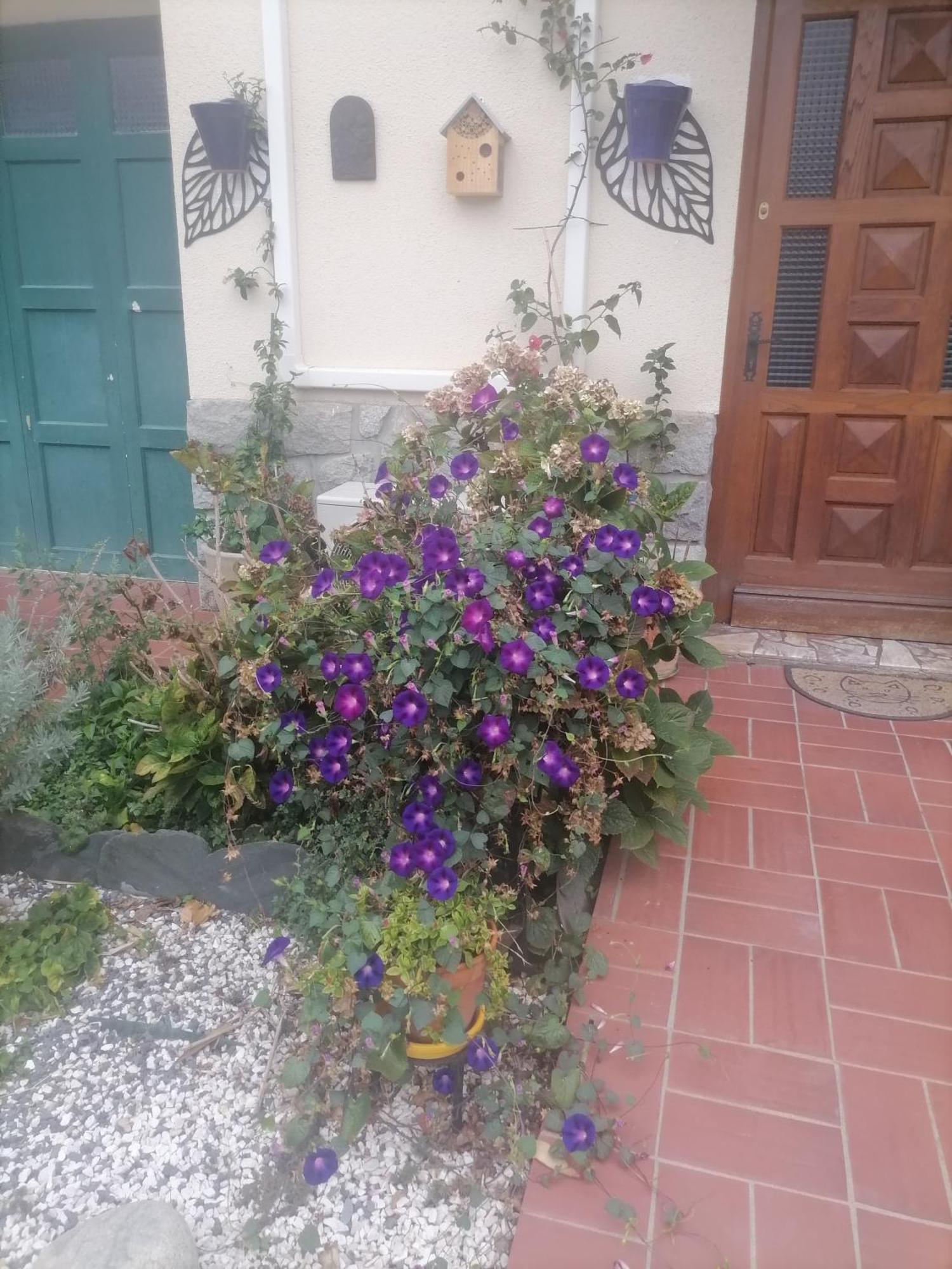 Maison Du Soleil Prades  Buitenkant foto